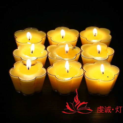 廠家直銷10小時10粒塑料五葉梅花蠟燭酥油粒無煙酥油燈蠟燭包郵